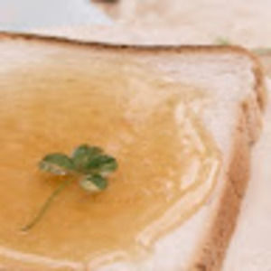 Meet your Posher, Randy